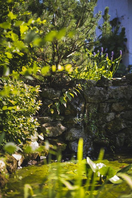 Domaine De Terrac Bed and Breakfast Rimont Εξωτερικό φωτογραφία