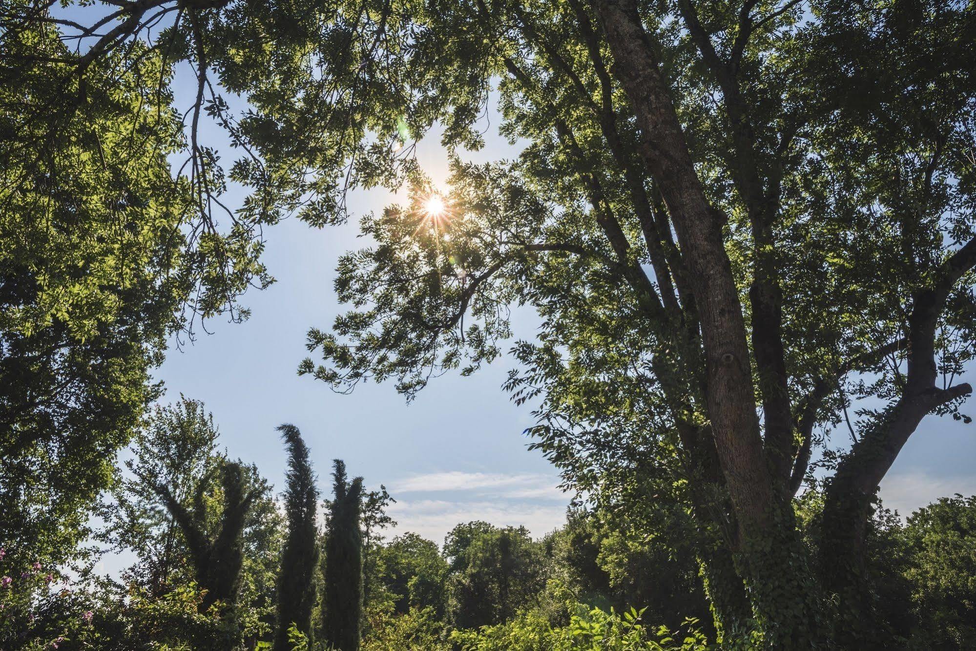 Domaine De Terrac Bed and Breakfast Rimont Εξωτερικό φωτογραφία