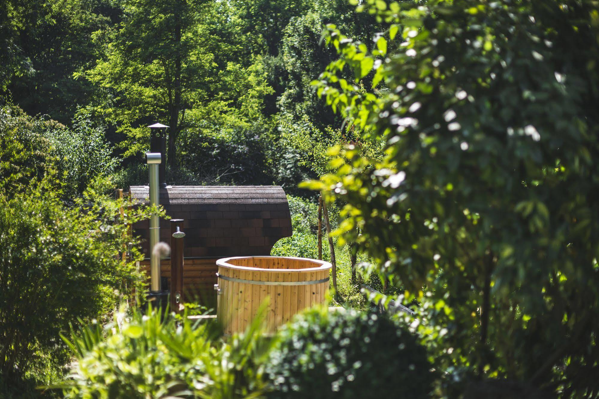 Domaine De Terrac Bed and Breakfast Rimont Εξωτερικό φωτογραφία