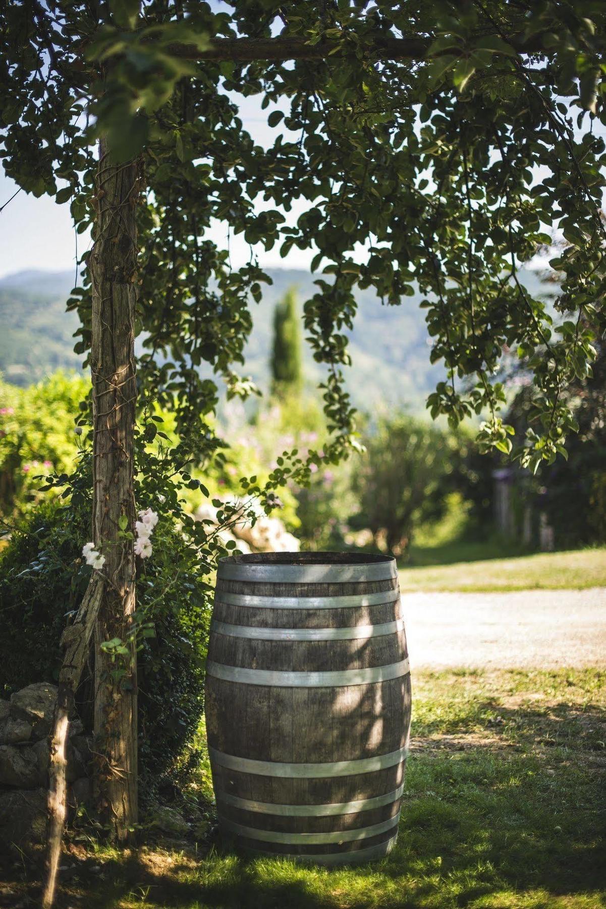 Domaine De Terrac Bed and Breakfast Rimont Εξωτερικό φωτογραφία